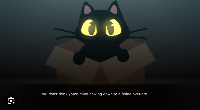 Do NOT Take This Cat Home